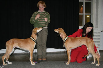 Aziz Cane Zadan & Aziz Chanda