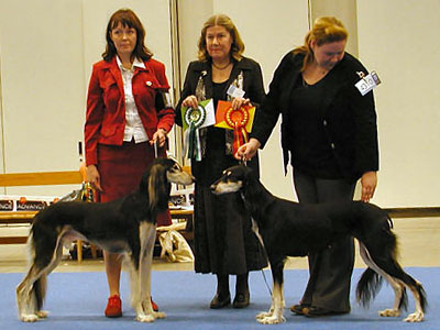 Tazillah Rajaah al-Rubin & Aziz Mavaddat