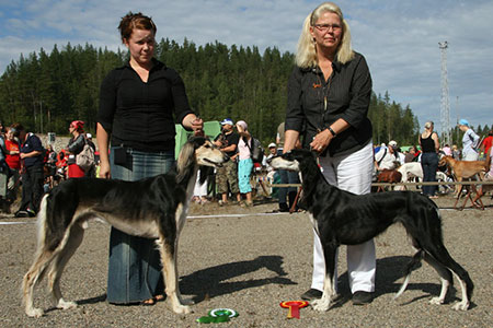 Aziz Vared & Aziz Xanom