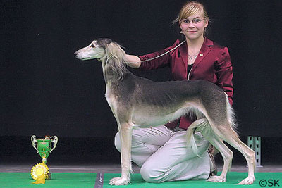 Janette & Aziz Namayande