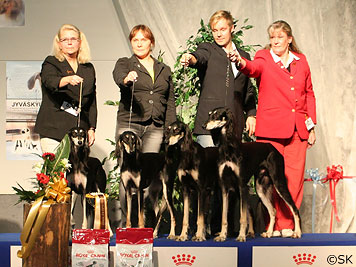 Kennel Aziz Best In Show-3