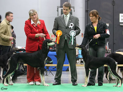 Aziz Yavand & Aziz Ada