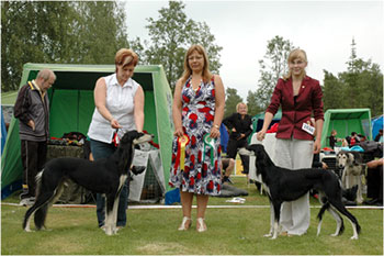 Aziz Qahraman & Aziz Xanom