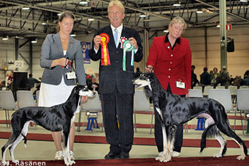 Bedu Solange El Hamrah & Aziz Yavand