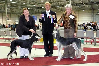 Aziz Mavaddat & El Hamrah Rammah-Sahir