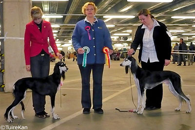 Aziz Xanom & Aziz Yavar