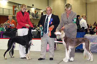 Aziz Zendegi & Khalils Lil-L-Marrati