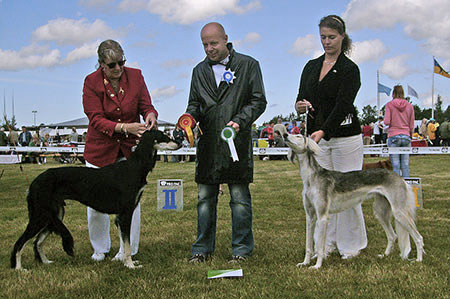 Aziz Yavand & El Hamrah Zafaraan Zahra