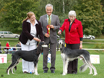 Aziz Mavaddat & El Hamrah Rammah-Sahir