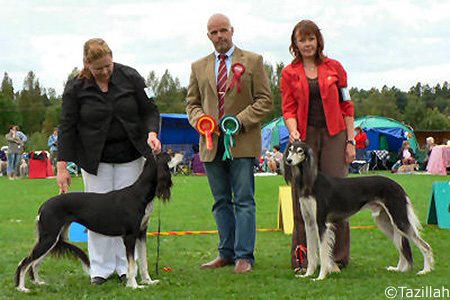 Aziz Mavaddat & Tazillah Rajaah Al-Rubin