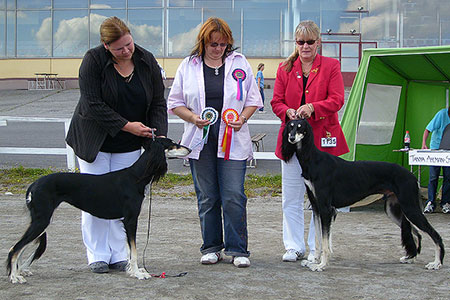 Aziz Mavaddat & Aziz Yavand