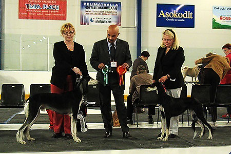 Aziz Yavar & Aziz Xanom