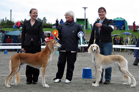 Badavie Quen Moriquendi & Aziz Vajahat