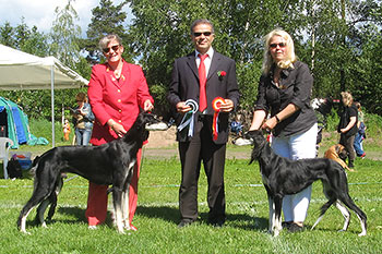 Aziz Yavand & Aziz Xanom