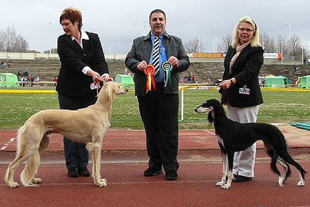 Qirmizi Global Threat & Aziz Xanom