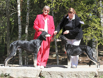 Aziz Yavand & Aziz Mavaddat