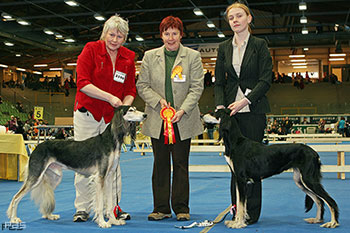 El Hamrah Rammah-Sahir & Aziz Shalil