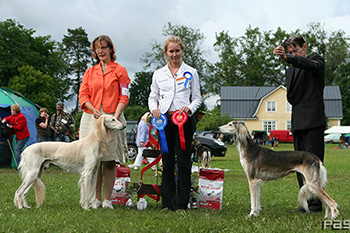 Tazillah Sultan Al Arab & Aziz Mahtab