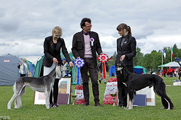 Aziz Velayat & Aziz Uzziah