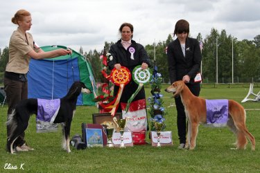 El Hamrah Evona & Aziz Cane Zadan