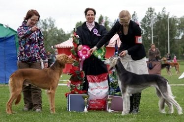 Kirman Vahid & Aziz Velayat