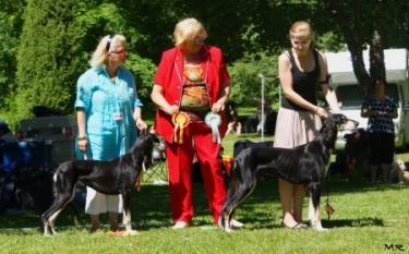 Aziz Xanom & Aziz Felfel