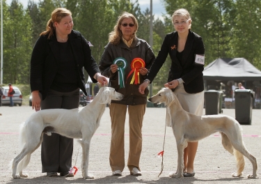 Qirmizi Jericho & Aziz Fazel
