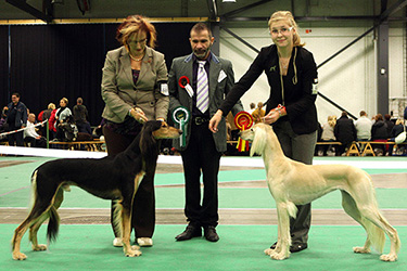 Tazillah Latif Farrukh & Aziz Fazel