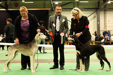 Aziz Shadman & Aziz Shalil