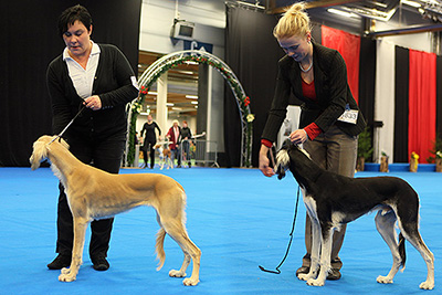 Aziz Ishtar & Aziz Hamid