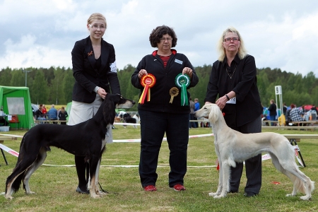 Aziz Fazel & Aziz Felfel