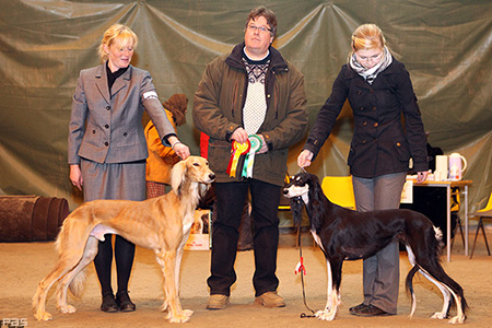 Al Wathba Bahram Al Nadir BOB & Aziz Xanom BOS