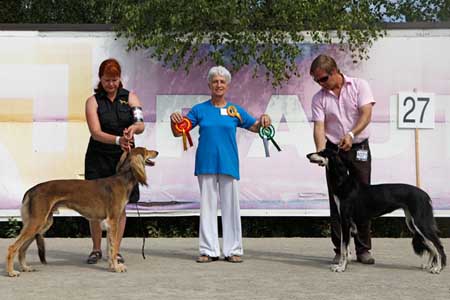 Tazillah Halah Abbaas & Aziz Ehsan