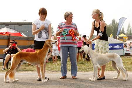 Aziz Cane Zadan & Aziz Fazel