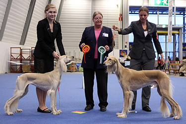 Aziz Fazel & Tazillah Khanda Karneol