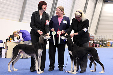 Tazillah Rajah al-Rubin & Aziz Shalil