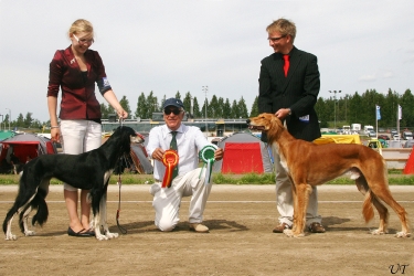 Aziz Ehsan & Aziz Chakad