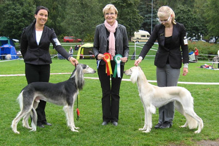 El Ubaid's Kalimantan & Aziz Fazel