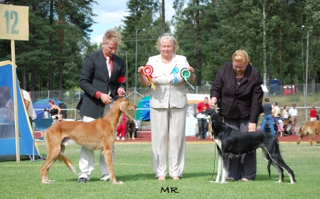 Aziz Chakad & Aziz Shalil