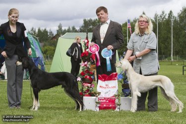 Aziz Felfel & Aziz Fazel