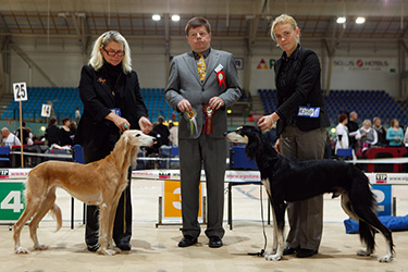 Aziz Nehayat & Aziz Qadim