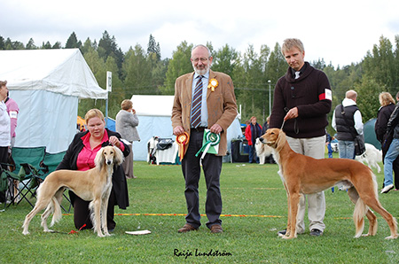 Hadayan Maxima & Aziz Chakad