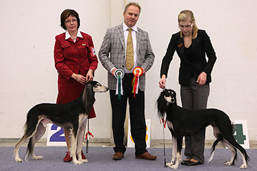 Tazillah Rajaah al-Rubin & Aziz Xanom