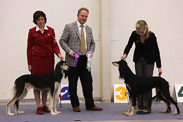 Tazillah Rajaah al-Rubin & Aziz Omani