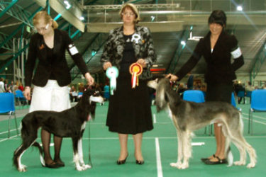 Aziz Xanom & El Ubaid's Kalimantan