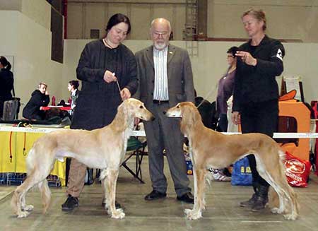 Sharwassim Ajib Ibn Shaitaan & Aziz Chameh