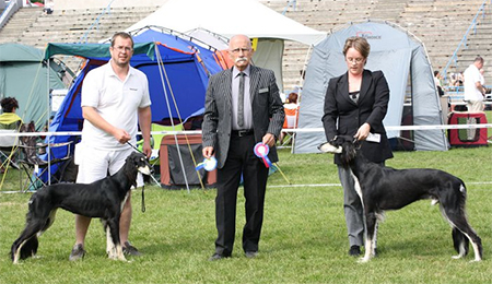 Aziz Haifa & Aziz Halil