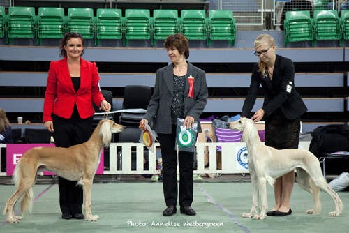 Aziz Ihsan & Aziz Fazel