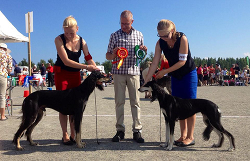 Aziz Luxor & Aziz Jalila