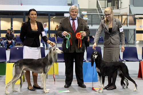 El Ubaid's Kalimantan & Aziz Xanom